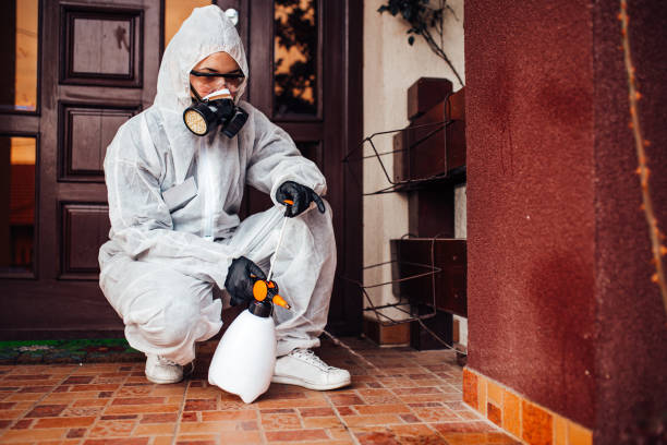 Attic and Crawl Space Rodent Treatment in Runaway Bay